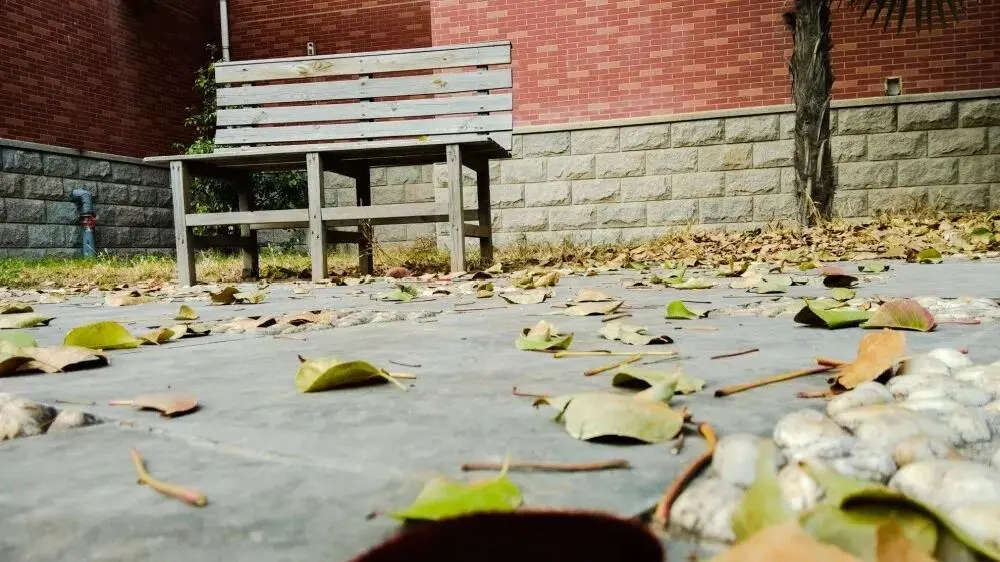 廣州畫室,廣州藝考畫室,廣州畫室志愿填報,02