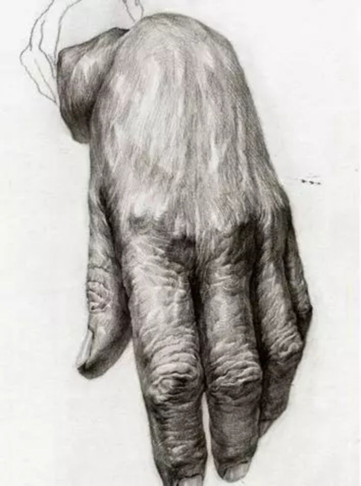 廣州畫室排名前五畫室給你整理了100幅手部刻畫作品拿去臨摹,24