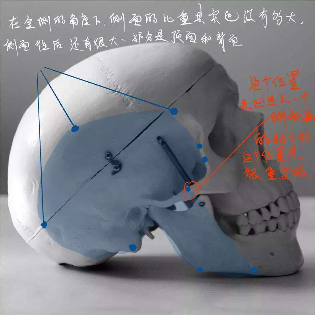 想要拿下校考素描頭像高分嗎?廣州十大畫室教你技巧,20