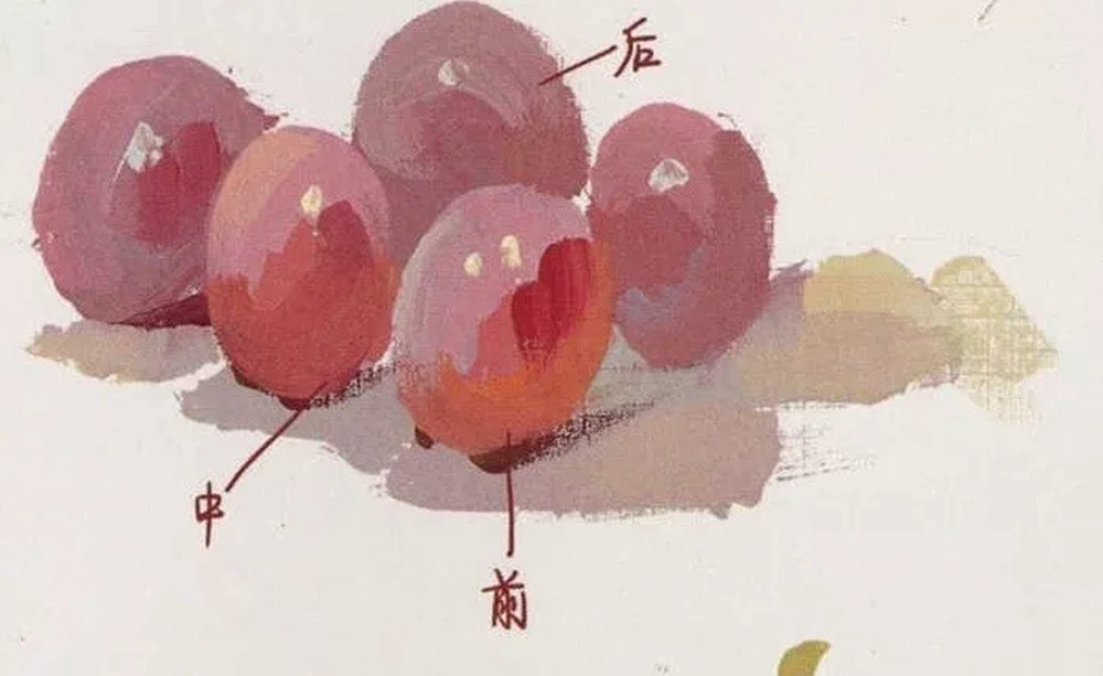 廣州前十畫室超強干貨丨最全【葡萄】色彩靜物教程,05