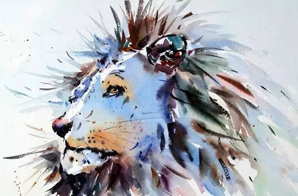 這樣的動物水彩畫廣州排名前十畫室覺得不能忍住笑,09