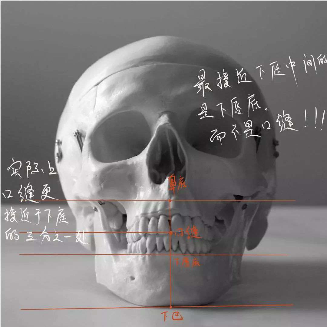 想要拿下校考素描頭像高分嗎?廣州十大畫室教你技巧,09