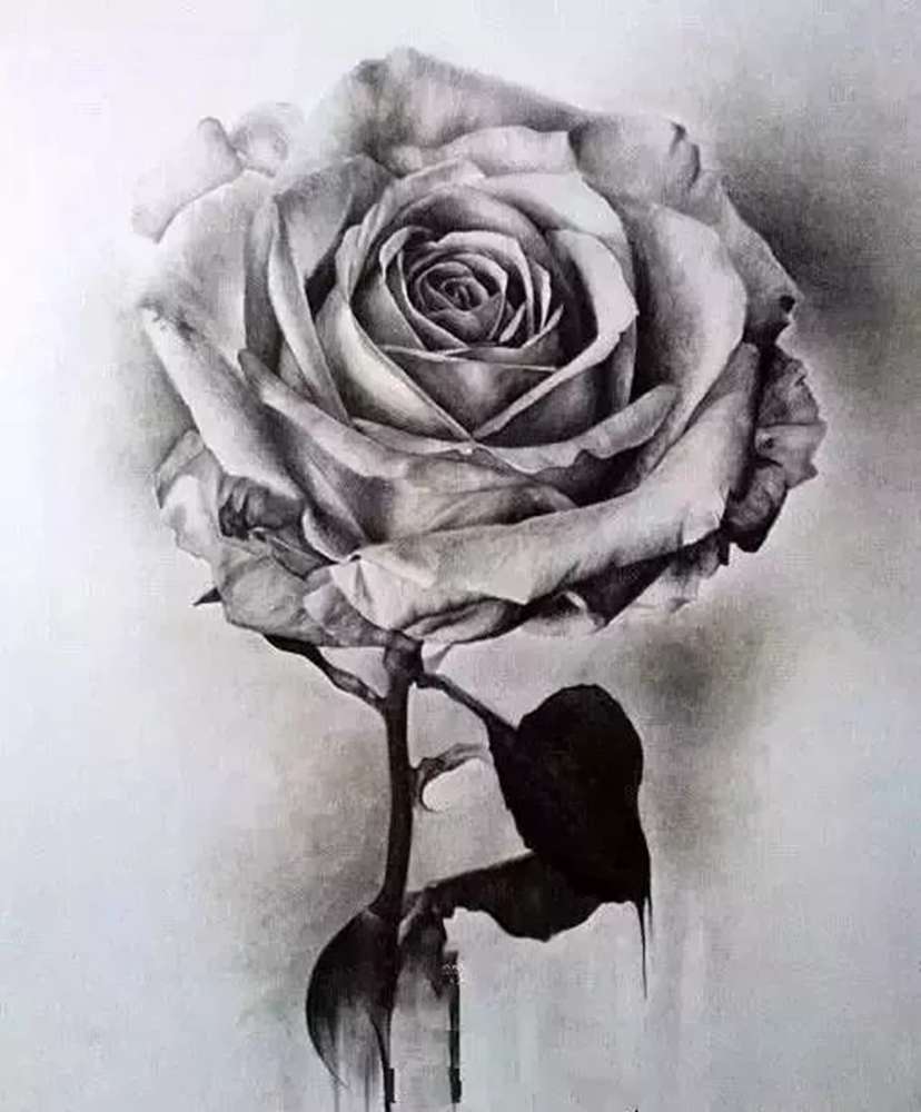 廣州十大畫室的老師都很頭疼的畫這些東西，你呢,12