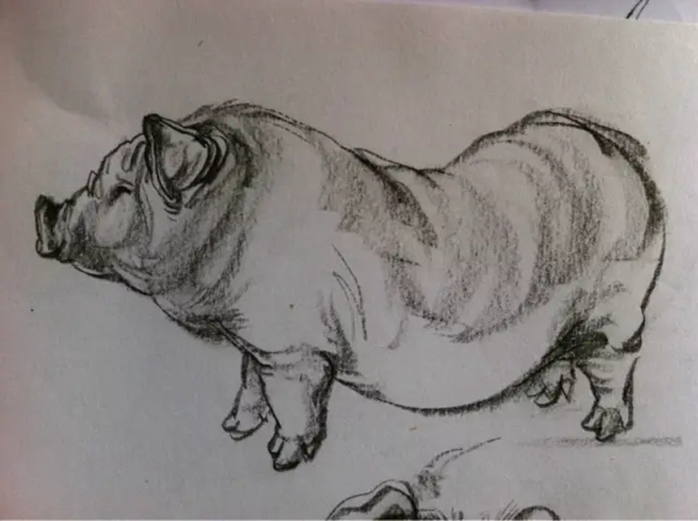 如果你正在學習線描速寫，廣州藝考畫室覺得這52幅作品正合適你,43