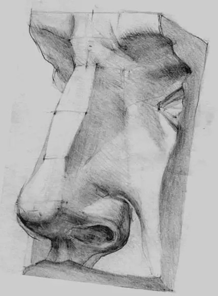 廣州畫室排名前十畫室給你一組適合零基礎臨摹的素描教程,65