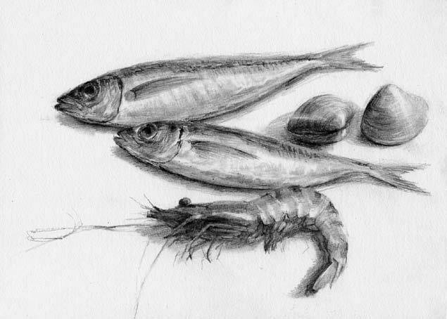 廣州畫室前五排名畫室告訴你素描靜物如何表現質感,09