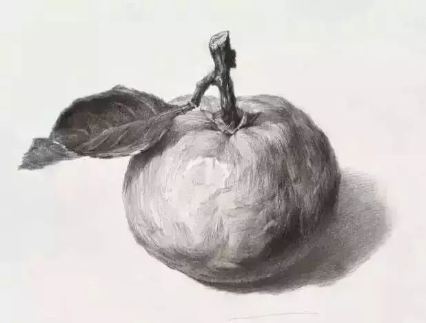 廣州美術高考班告訴你吃透這7類素描靜物質感,聯考不用怕了,01