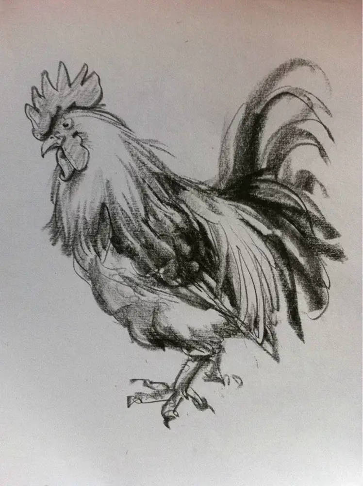 如果你正在學習線描速寫，廣州藝考畫室覺得這52幅作品正合適你,33