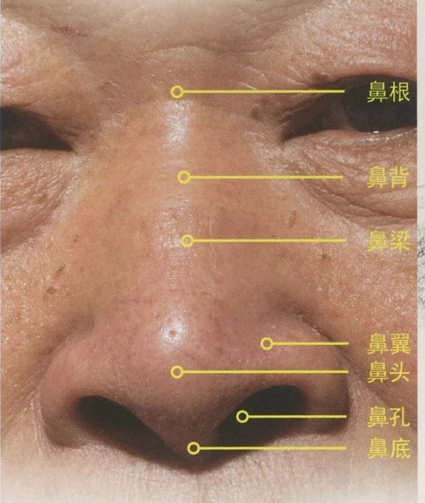 廣州藝考畫室,廣州素描畫室,廣州畫室素描培訓,31