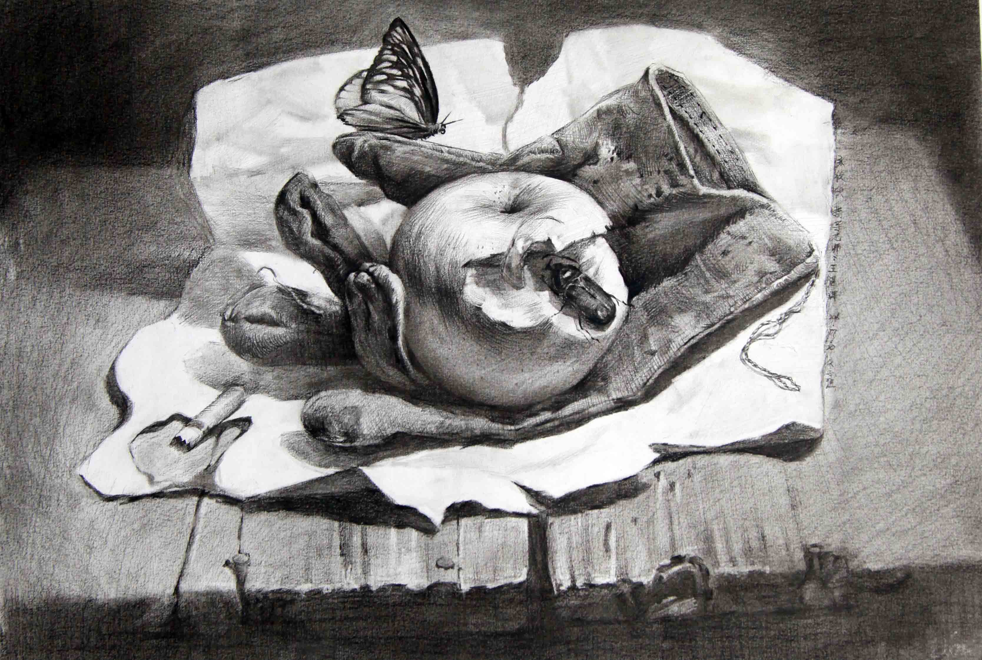 廣州畫室素描培訓,廣州素描集訓畫室,廣州素描美術(shù)培訓班