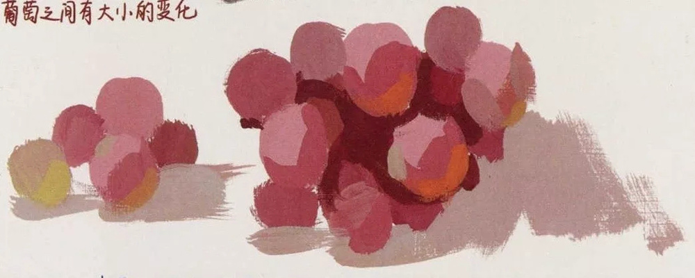 廣州前十畫室超強干貨丨最全【葡萄】色彩靜物教程,02