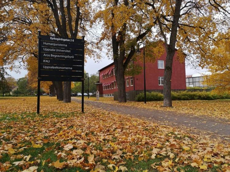 2022屆美術生你所擔心的，明年美術校考還會不會接著取消？圖四