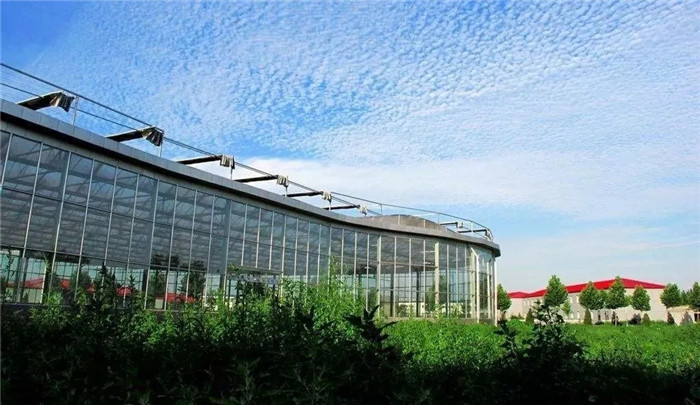 廣州美術高考班將承認聯考成績的83所院都整理處理了,19