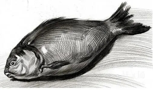 廣州畫(huà)室聯(lián)考