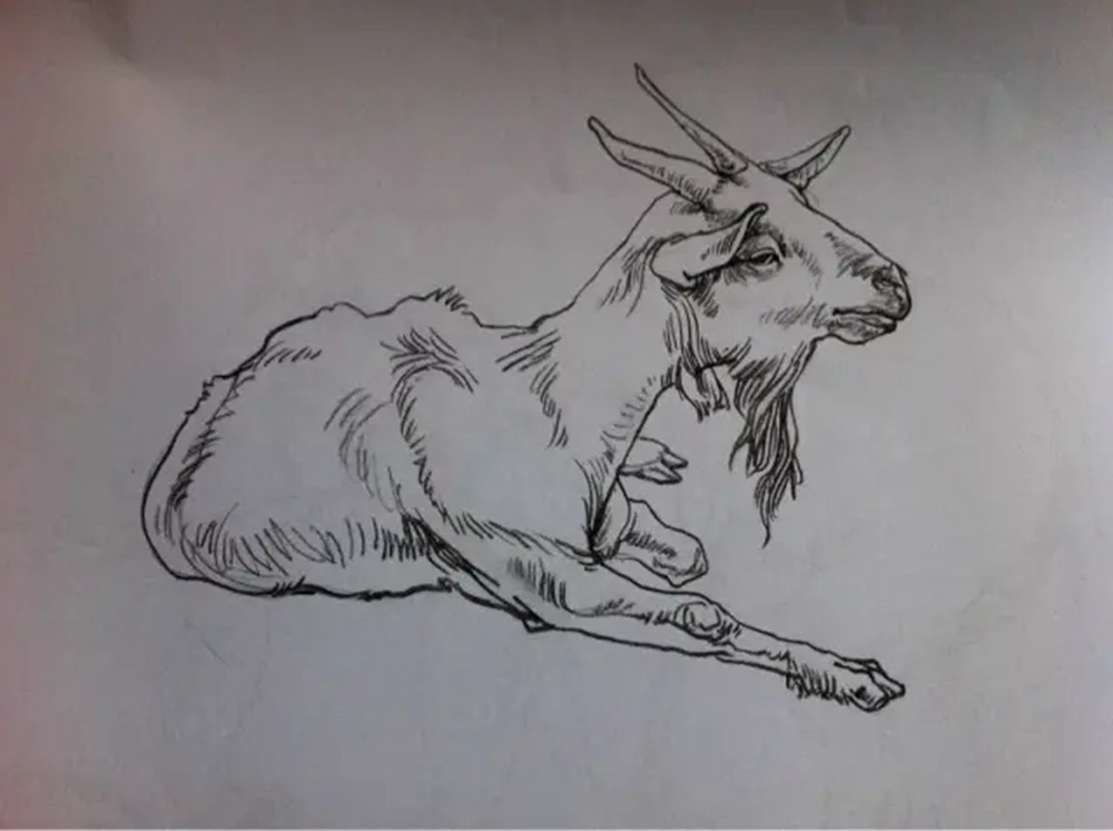 如果你正在學習線描速寫，廣州藝考畫室覺得這52幅作品正合適你,30