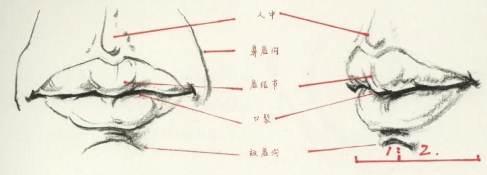 廣州前十畫室超強干貨丨速寫局部之眼耳鼻嘴的刻畫,07