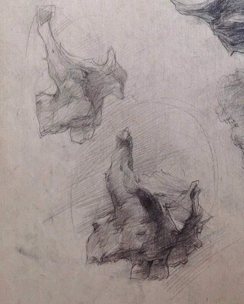 廣州畫室排名前十畫室?guī)憧纯凑嬲乃孛韪呤郑煸勔涣?45