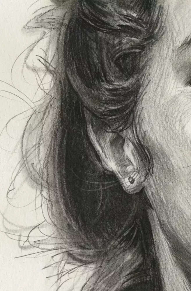 廣州畫室排名前十畫室教學(xué)|教你如何刻畫扎大麻花辮的外國女青年,15