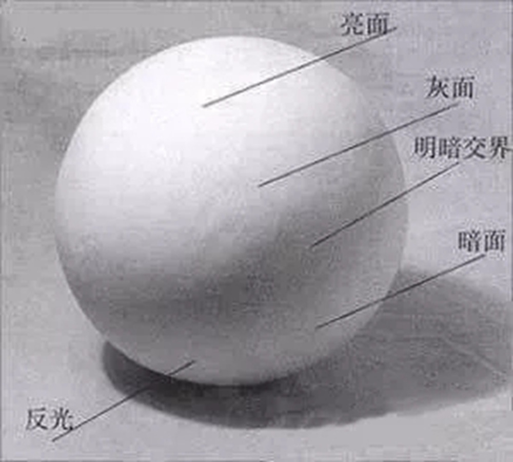 廣州畫室排名前三畫室教你素描初學入門怎樣畫明暗交界線,01