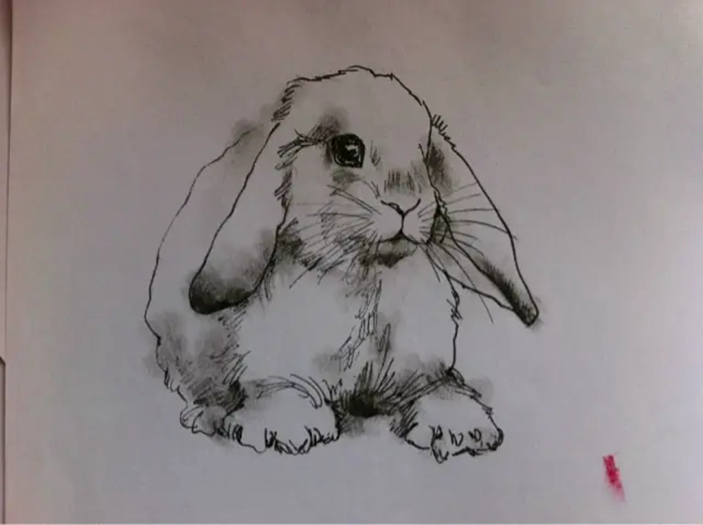 如果你正在學習線描速寫，廣州藝考畫室覺得這52幅作品正合適你,39