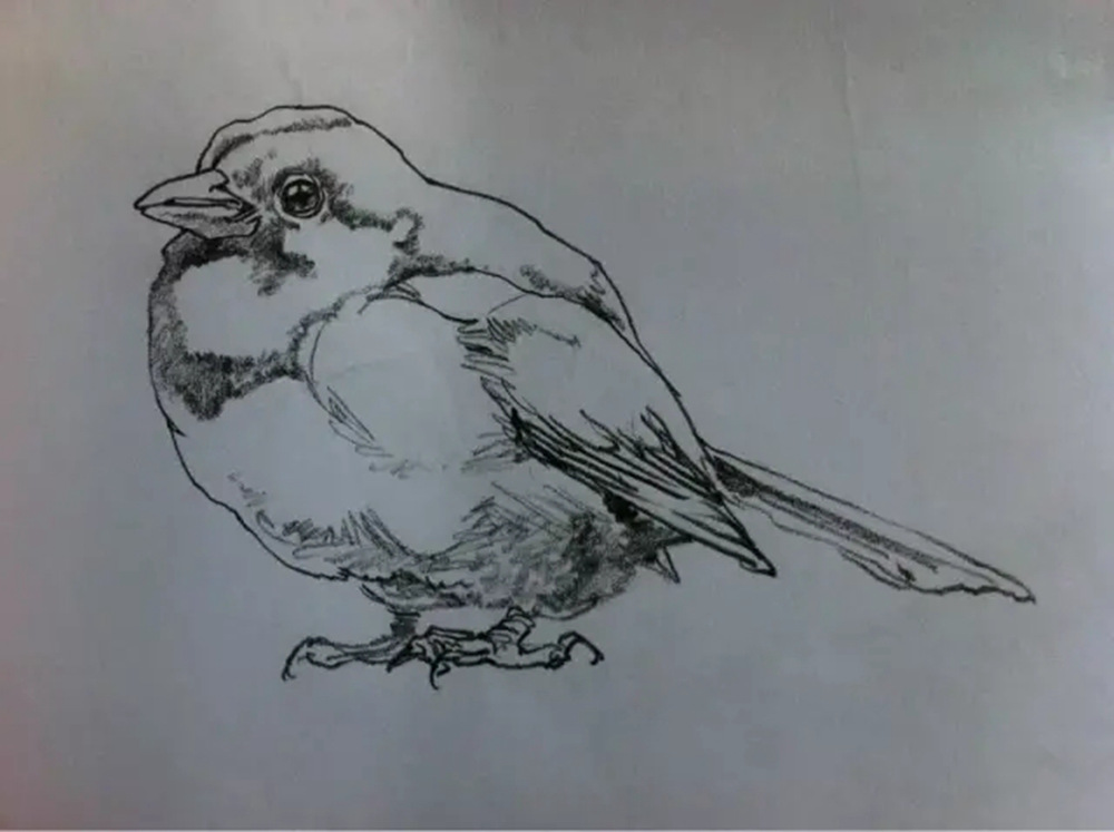 如果你正在學習線描速寫，廣州藝考畫室覺得這52幅作品正合適你,21