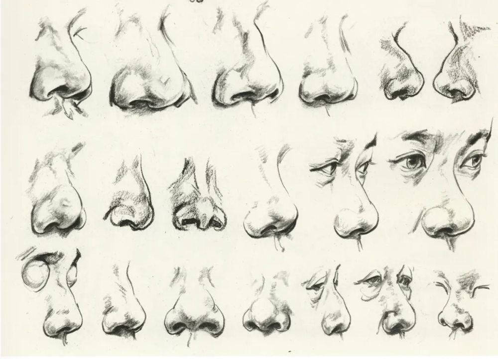 廣州前十畫室超強干貨丨速寫局部之眼耳鼻嘴的刻畫,11