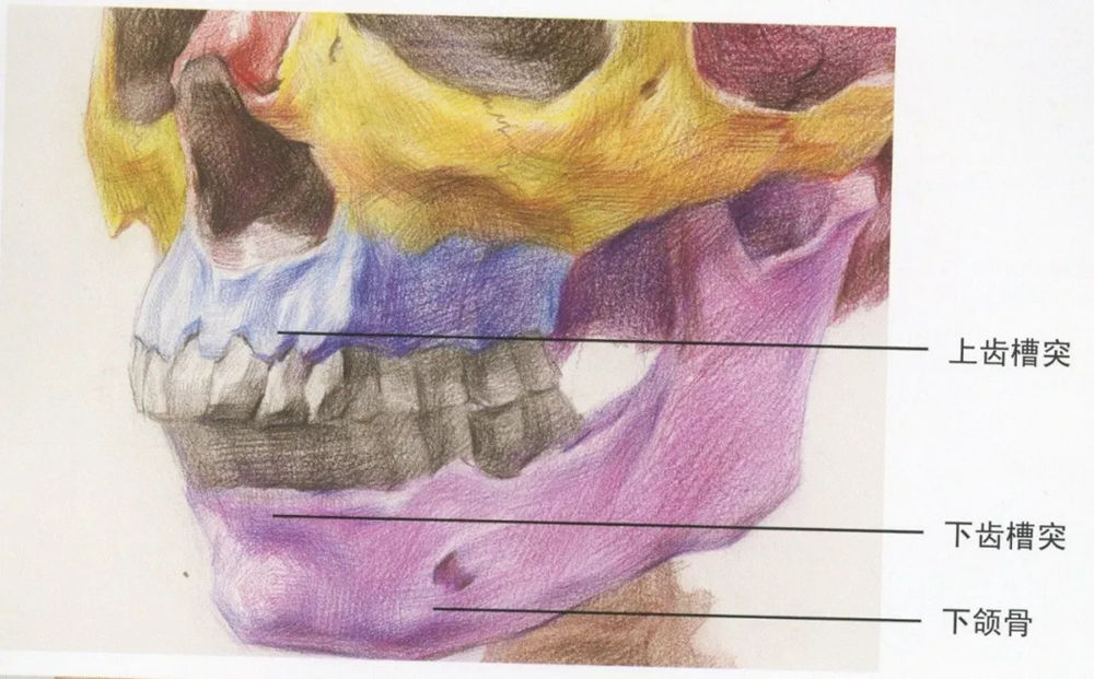 廣州藝考畫室,廣州素描畫室,廣州畫室素描培訓,41