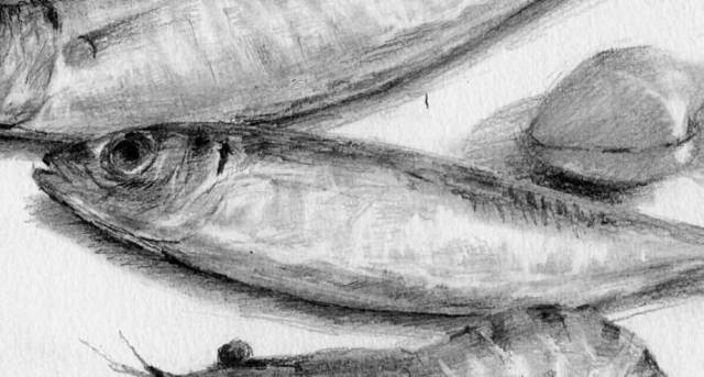 廣州畫室前五排名畫室告訴你素描靜物如何表現質感,07