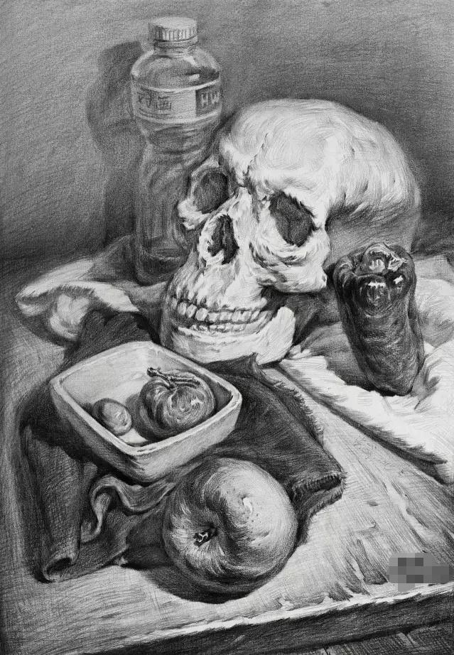 想要你的素描牛,廣州美術高考班建議從這五點開始,05