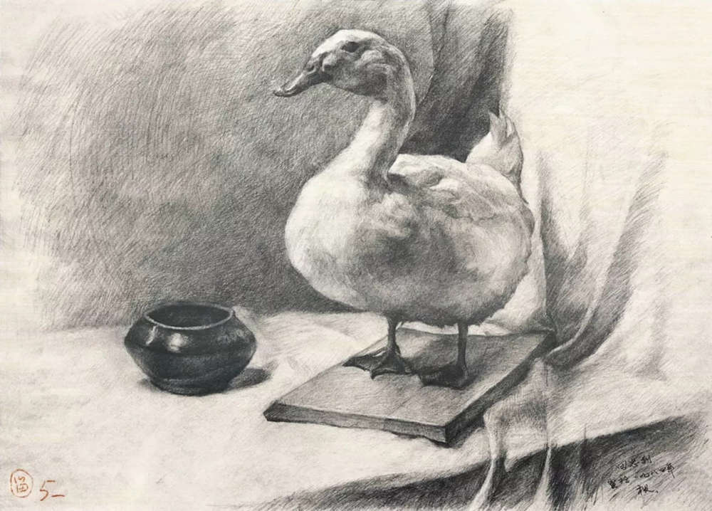 廣州前十畫(huà)室?guī)憧纯茨阊朊览纤孛瑁癸@素描的本質(zhì)?,25