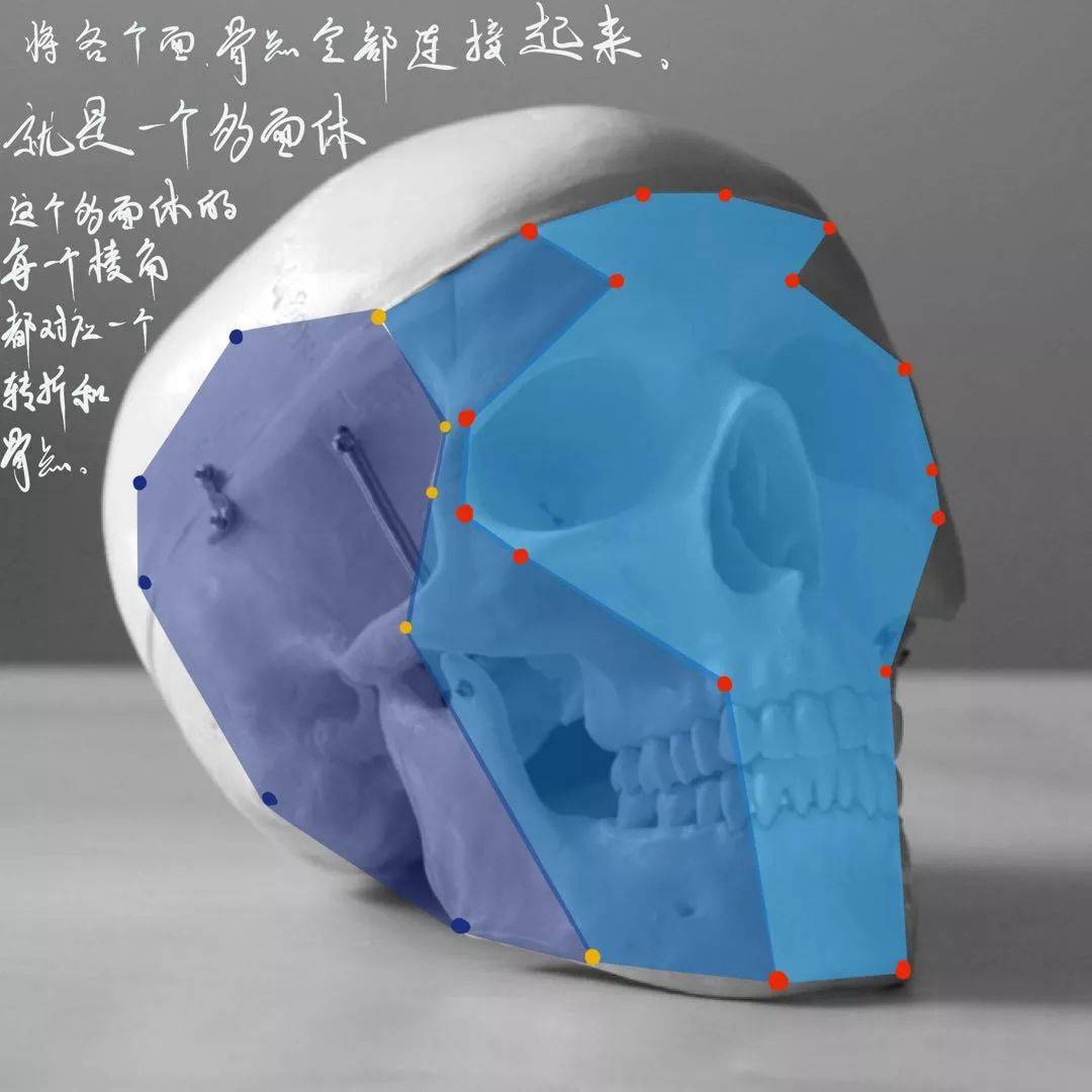 想要拿下校考素描頭像高分嗎?廣州十大畫室教你技巧,16